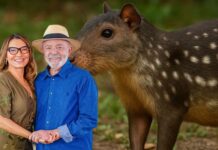 VÍDEO: No almoço de Páscoa, a primeira-dama Janja Lula da Silva prepara carne de paca para o amado