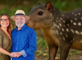 VÍDEO: No almoço de Páscoa, a primeira-dama Janja Lula da Silva prepara carne de paca para o amado