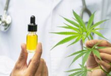 Mulheres de 45 a 64 anos dominam a liderança do mercado de cannabis medicinal no país