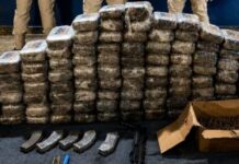 Carga de 100 kg de maconha que seguiria para Manaus é interceptada na BR-230