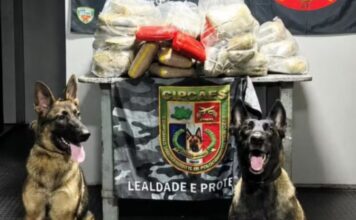 Dupla é presa com mais de 90 kg de drogas em ferryboat que seguia para Manaus