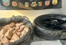 Cão policial descobre carga de pasta-base de cocaína em moto transportada por embarcação no AM