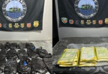 Mais de 11 quilos de drogas são apreendidos após ação do cão policial Sheriff em ferryboat