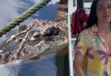 Influencer registra momento inusitado ao tentar entrar no Rio Negro cercado por jacarés
