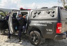 Guarda Municipal resgata cão vítima de violência e prende responsáveis no Lírio do Vale