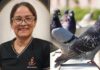Professora morre após contrair doença associada a fezes de pombos em escola de Manaus