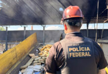 Mais de 3,5 toneladas de drogas são incineradas pela Polícia Federal em Manaus