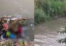 Mulher de 28 anos é encontrada morta em igarapé na zona Leste de Manaus