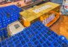 Festa do 27º título do Caprichoso em Manaus contará com Caminhão Dourado da Brahma