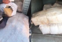 Cerca de 300 kg de entorpecentes são encontrados pela Força Tática na Monte Orebe