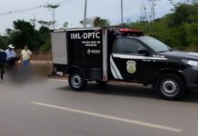Corp0 de mulher em avançado estado de decomposiçã0 é encontrado às margens da AM-070, em Iranduba