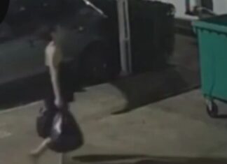 Vídeo: Bebê nasce prematura, é colocada dentro de caixa e deixada em área de lixo de condomínio