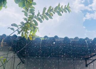 Após sequência de dias quentes, Manaus amanhece com chuva nesta quarta-feira