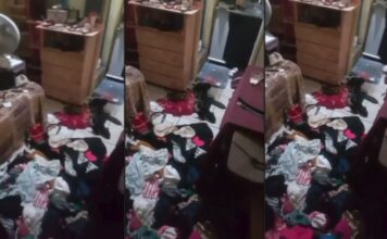 Homem é preso suspeito de m@t#r cachorro da ex e usar crime para ameaçá-la no AM