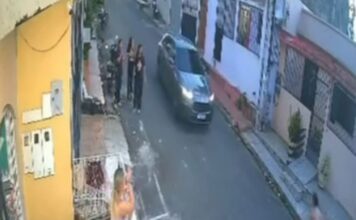 Cachorro é atropelado por carro e motorista foge sem prestar socorro em Manaus