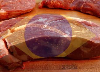 Brasil ameaça retaliação a União Europeia após veto à carne brasileira