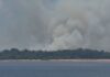 Incêndio em área de vegetação mobiliza cinco viaturas na AM-070 no Amazonas