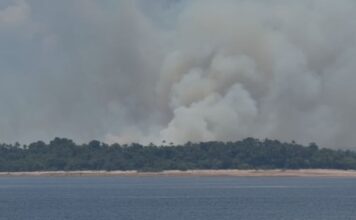 Incêndio em área de vegetação mobiliza cinco viaturas na AM-070 no Amazonas