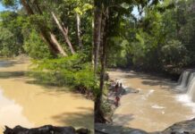 Rio Urubu aparece barrento após poluição e Cachoeira Natal é fechada em Presidente Figueiredo