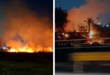 Incêndio se espalha por área de mata perto do Hospital Delphina Aziz