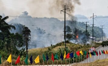 Chamas avançam pela vegetação e chamam atenção de motoristas na AM-070