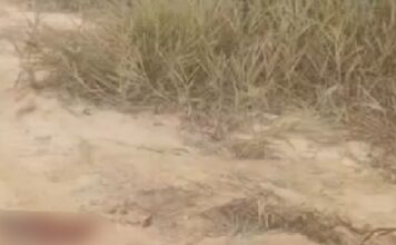 Homem é encontrado baleado e ensanguentado na Zona Leste de Manaus