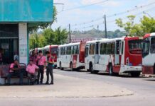 Rodoviários encerram paralisação e transporte público volta a operar em Manaus