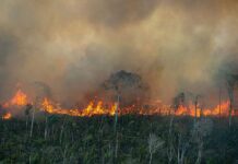 Ipaam aplica R$ 13,3 milhões em multas por poluição atmosférica no Amazonas