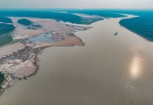 Manaus e outras 35 cidades do Amazonas entram em situação de emergência por causa da seca