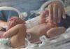 Hospital viral alvo de investigação após morte de 36 bebês