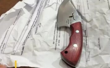 Jovem de 18 anos é preso após matar cadela a facadas no interior do AM