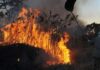 Após 1º turno, incêndios crescem 416% no Amazonas e polícia investiga motivação política