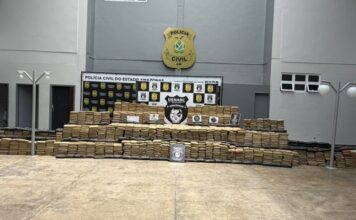 Carga de maconha avaliada em R$ 27,6 milhões é encontrada em área rural de Novo Airão, no Amazonas