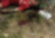 Homem com uniforme do Flamengo é morto a tiros no Campo do Areal, no Terra Nova
